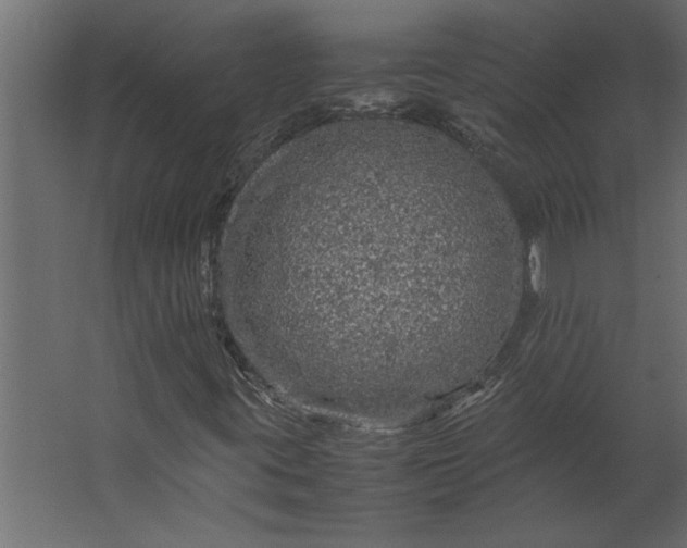 X0000067461395200604211529