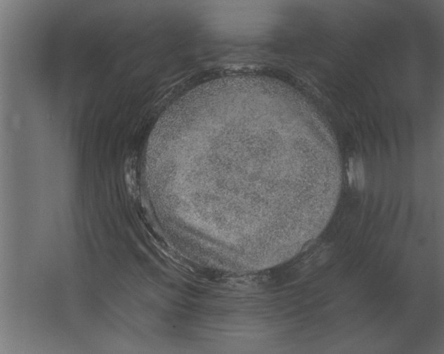 X0000067461396200604211529