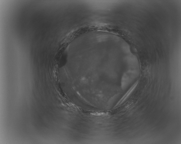 X0000067461397200604211529