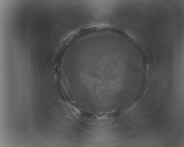 X0000067461398200604211529