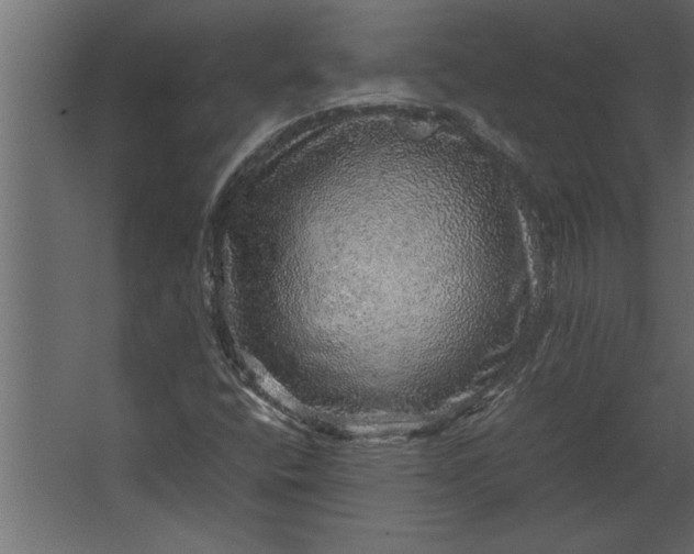 X0000067461400200604211529