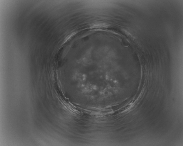 X0000067461401200604211529