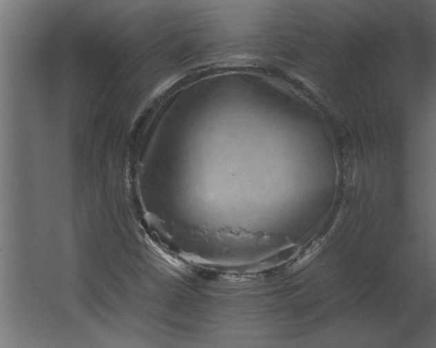 X0000067461402200604211529