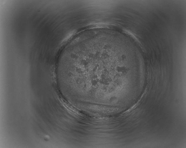 X0000067461403200604211529