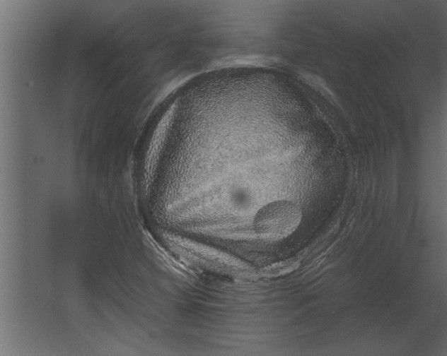 X0000067461404200604211529