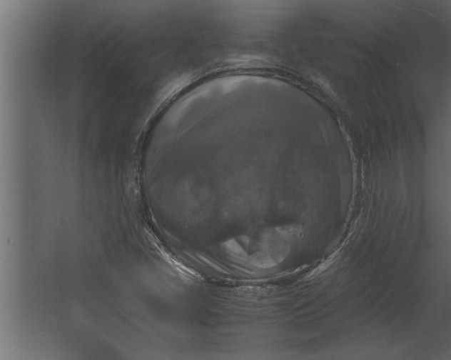 X0000067461405200604211529