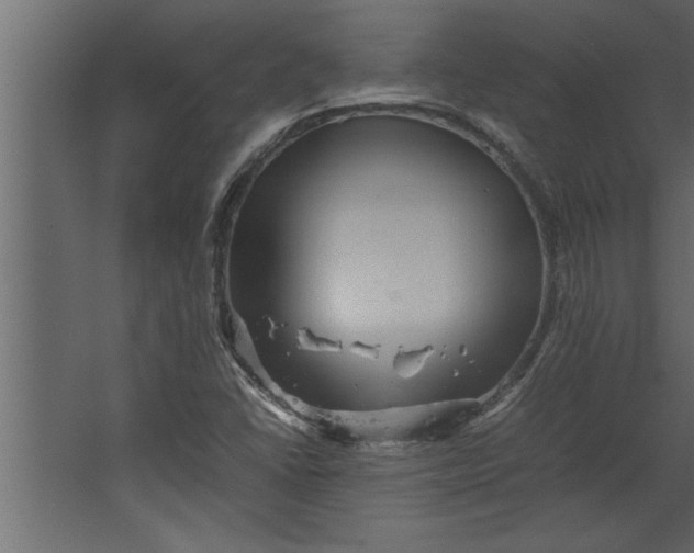 X0000067461406200604211529