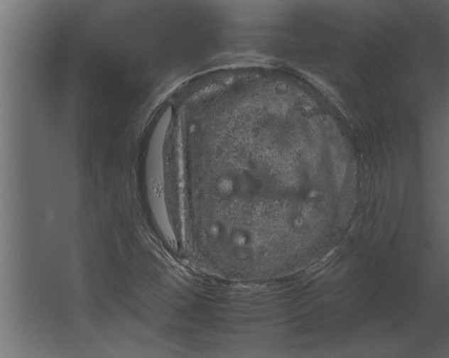 X0000067461407200604211529