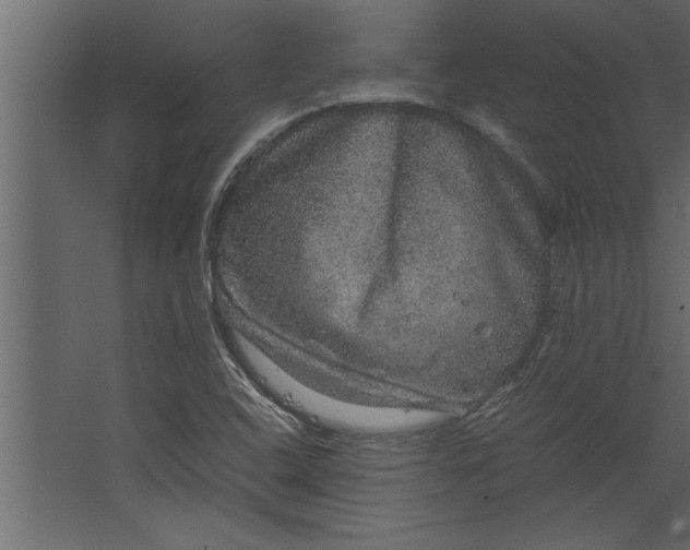 X0000067461408200604211529