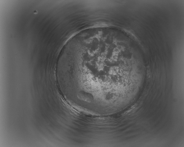 X0000067461409200604211529