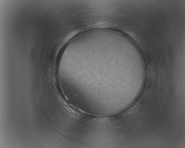 X0000067461410200604211529