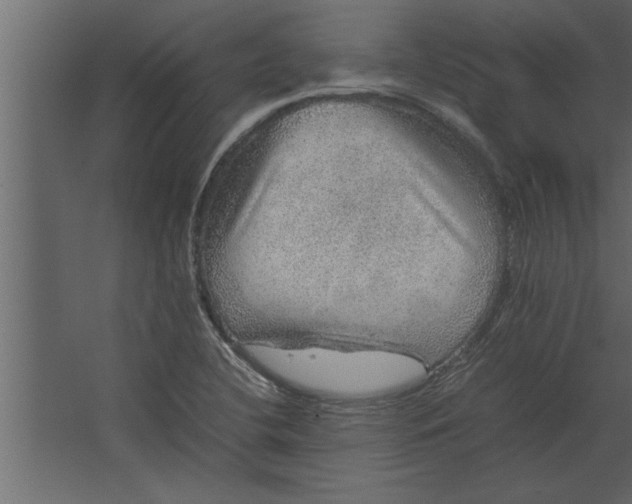 X0000067461412200604211529