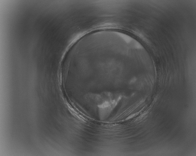 X0000067461413200604211529