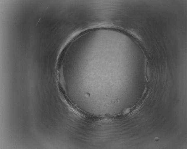 X0000067461414200604211529