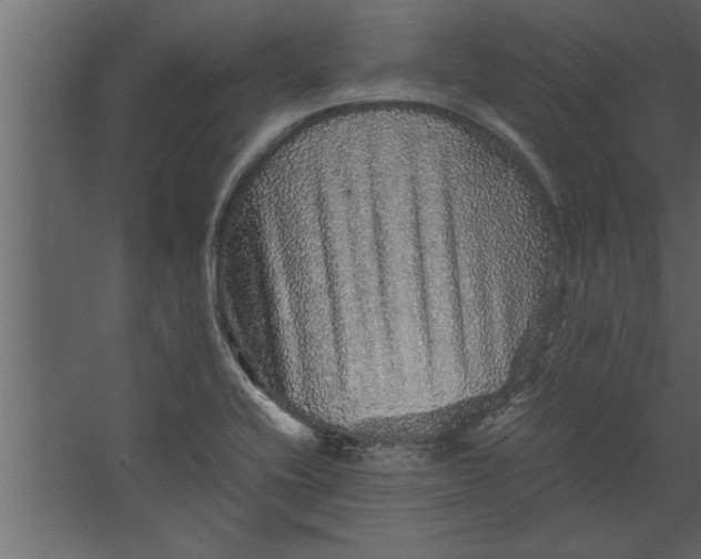 X0000067461416200604211529