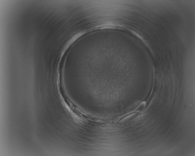 X0000067461418200604211529