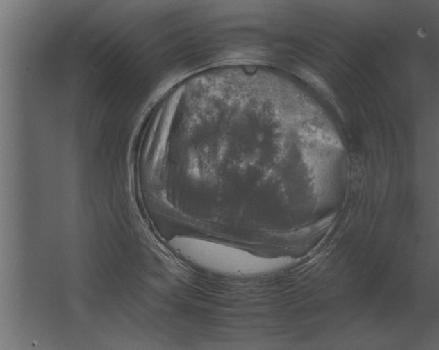 X0000067461419200604211529