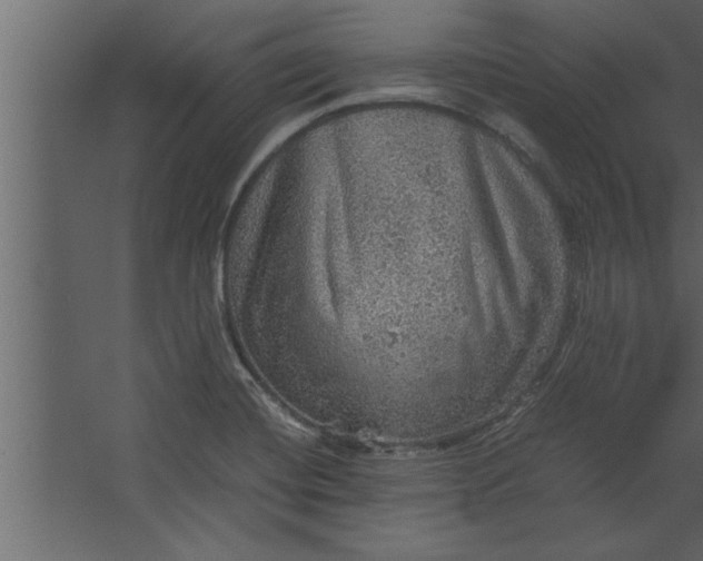 X0000067461420200604211529