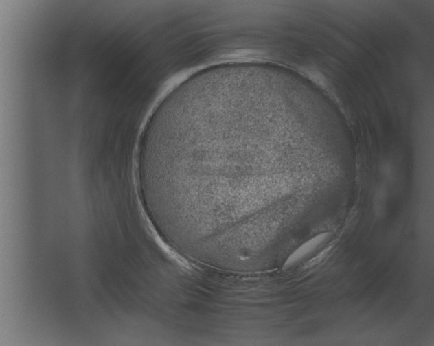 X0000067461421200604211529