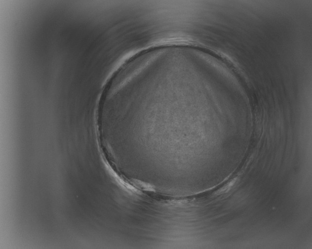 X0000067461422200604211529