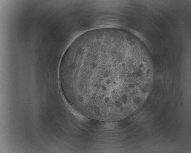 X0000067461423200604211529