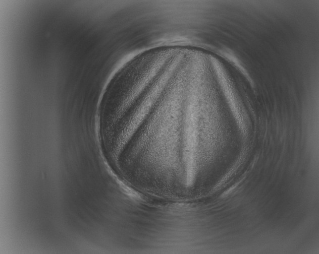 X0000067461424200604211529