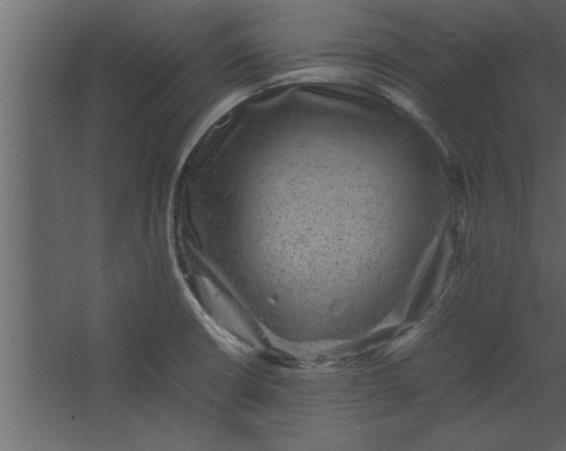 X0000067461426200604211529