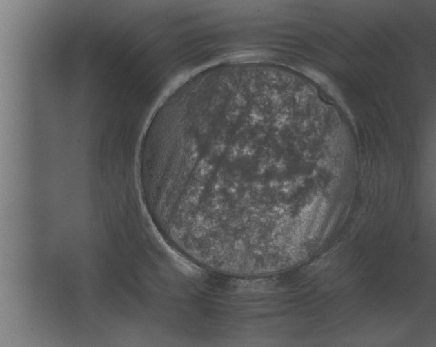 X0000067461429200604211529