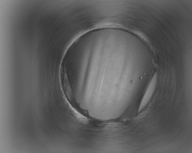 X0000067461430200604211529