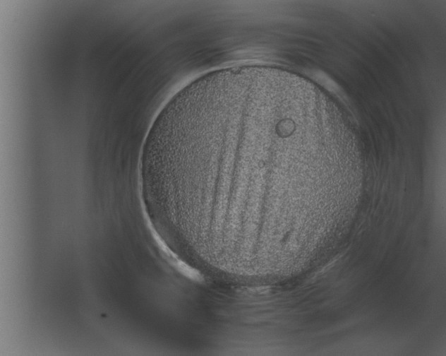 X0000067461431200604211529