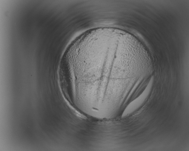 X0000067461432200604211529