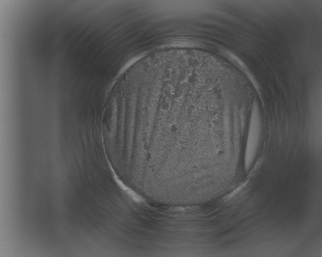 X0000067461433200604211529