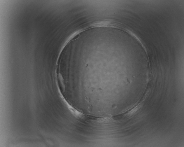 X0000067461434200604211529