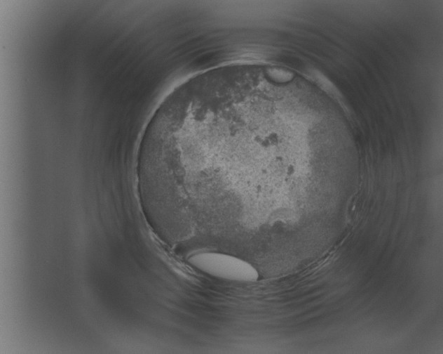 X0000067461435200604211529