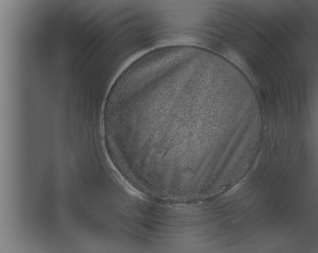 X0000067461436200604211529