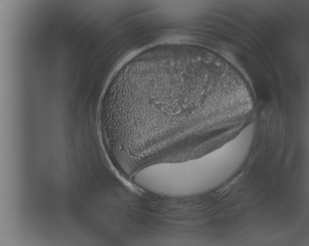 X0000067461437200604211529