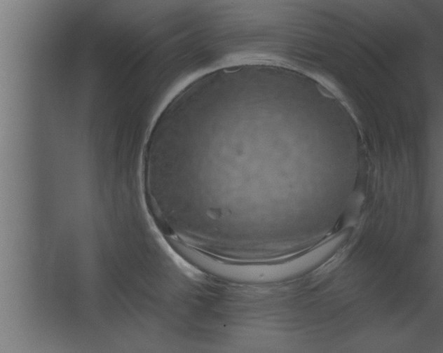 X0000067461438200604211529