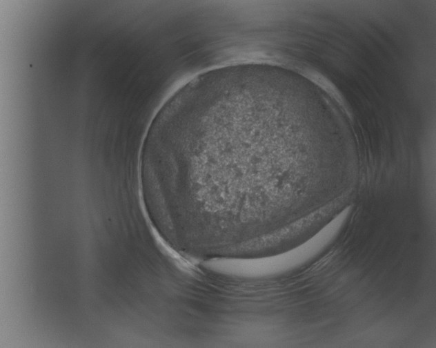 X0000067461439200604211529