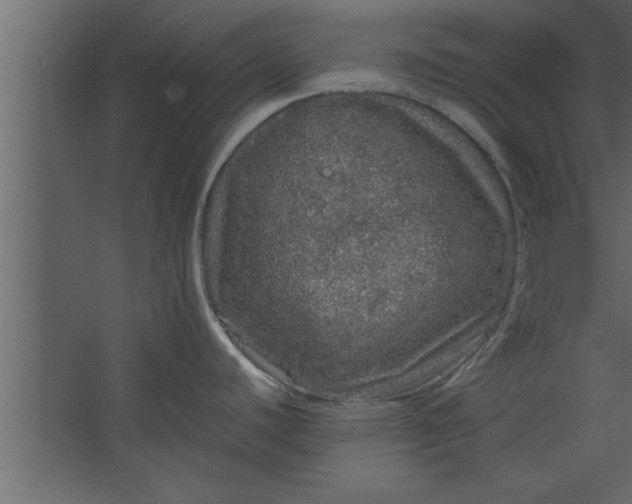 X0000067461440200604211529