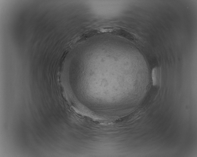 X0000067461443200604211529