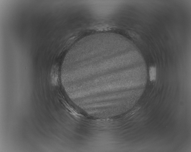 X0000067461444200604211529