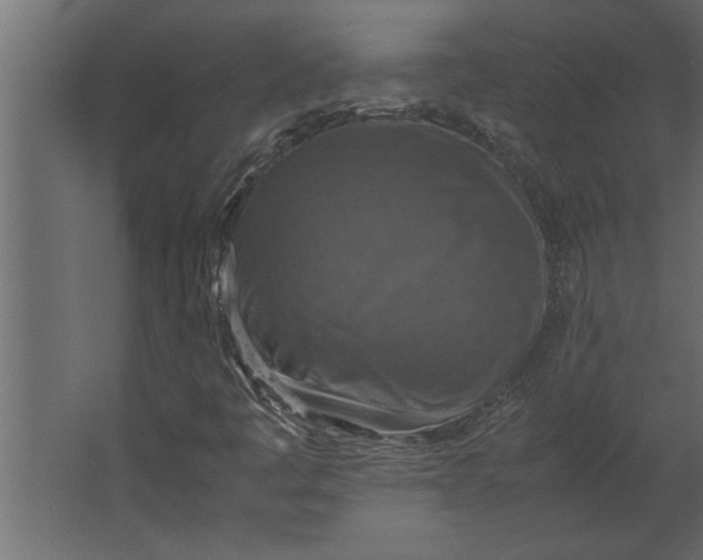 X0000067461445200604211529