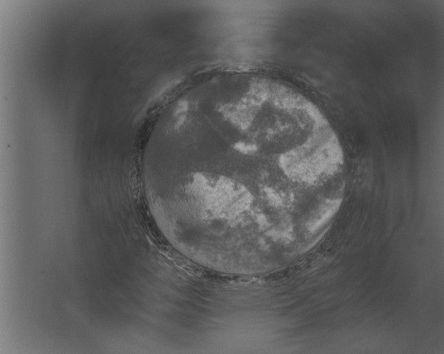 X0000067461446200604211529