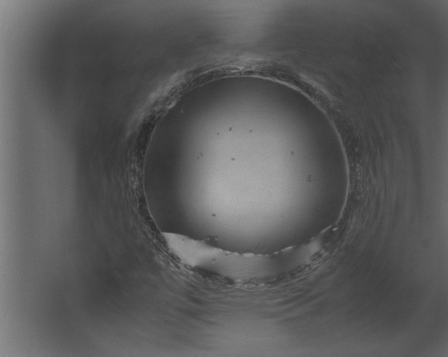 X0000067461447200604211529