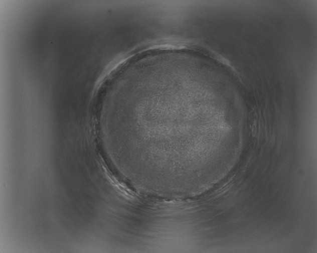 X0000067461448200604211529