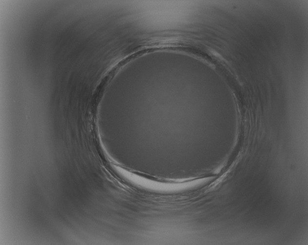 X0000067461449200604211528