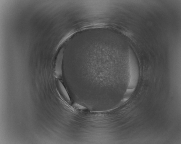 X0000067461450200604211528