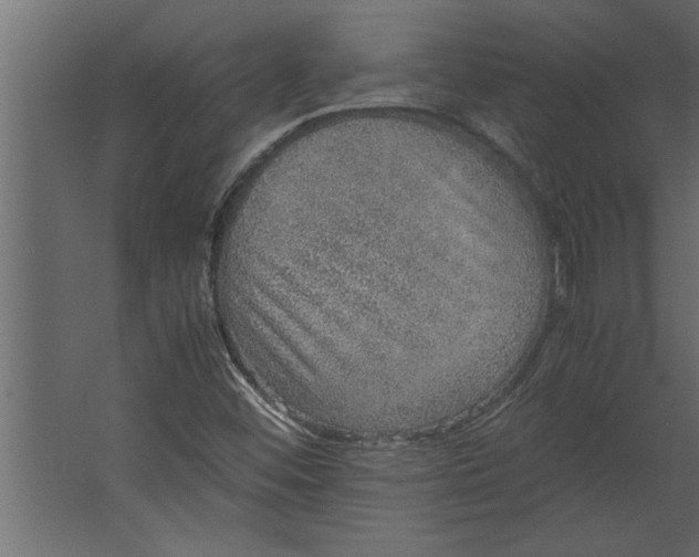 X0000067461452200604211528