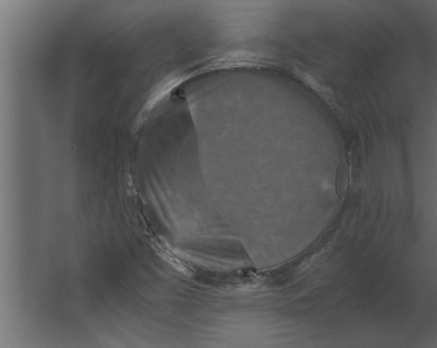 X0000067461453200604211528