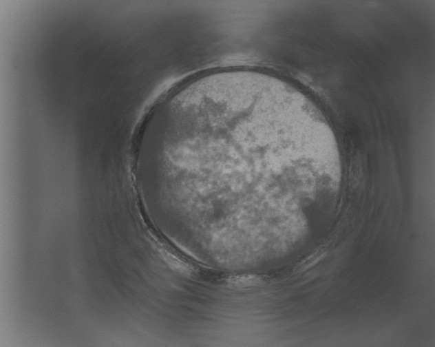 X0000067461454200604211528